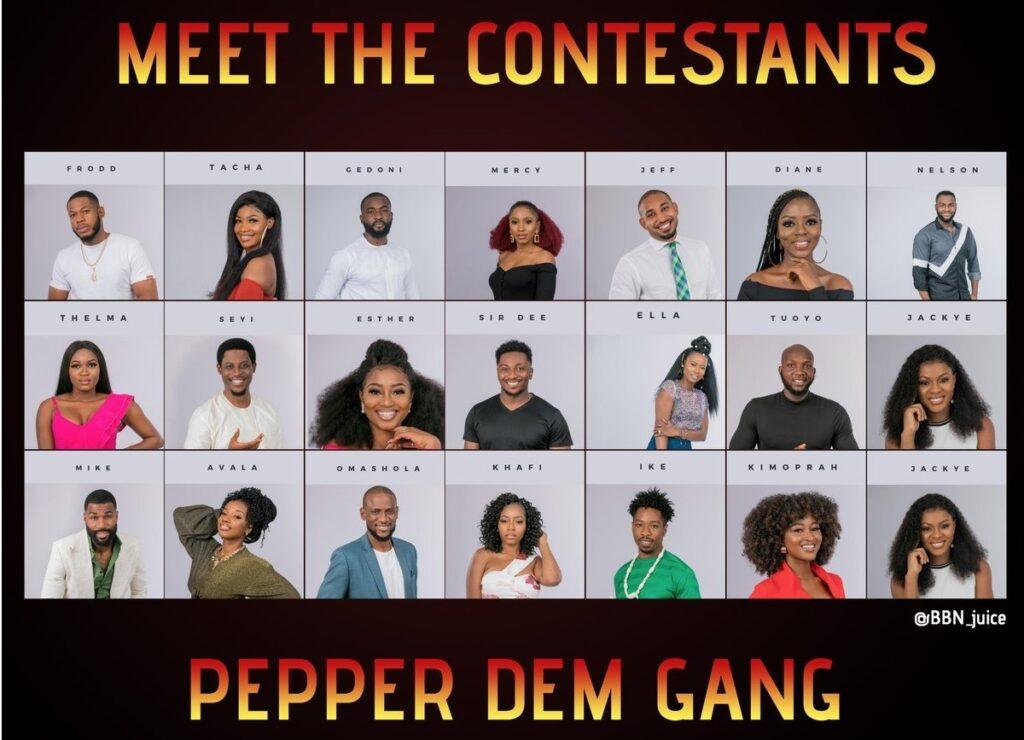 BBNaija 2019 Housemates